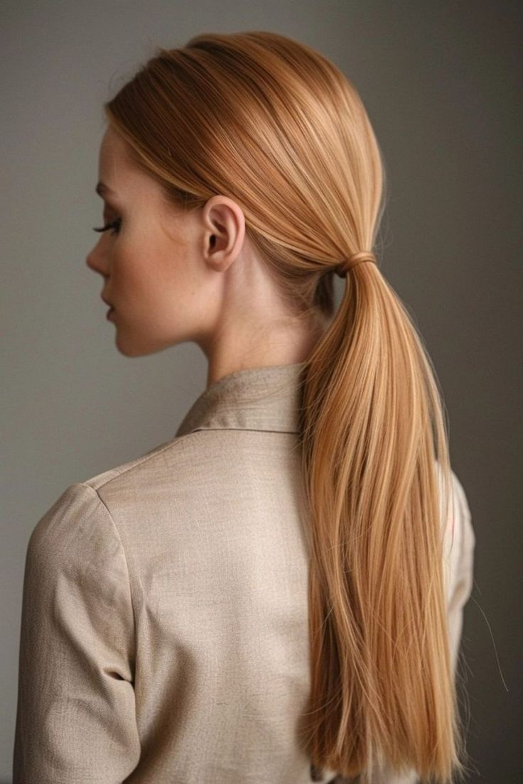 Sleek Low Ponytail