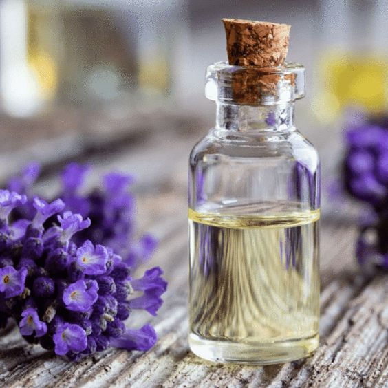 lavender essential oils